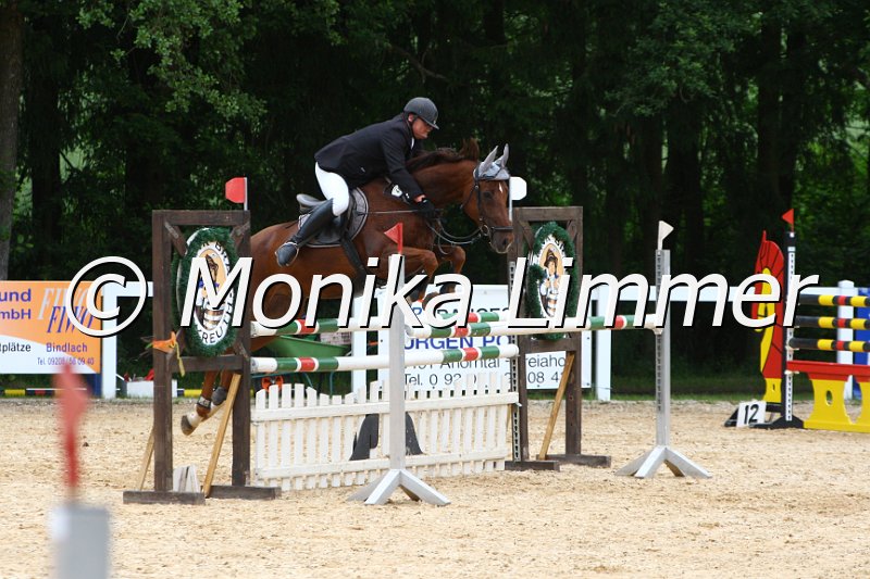 006M7942_Spring M.JPG